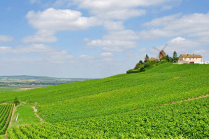 Vignoble de Tabordet
