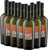Pecorino Terre di Chieti IGP - Tenuta Ulisse 12x Vorteilspaket