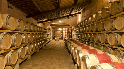 Castello di Nipozzano Cave Castello di Nipozzano Cave