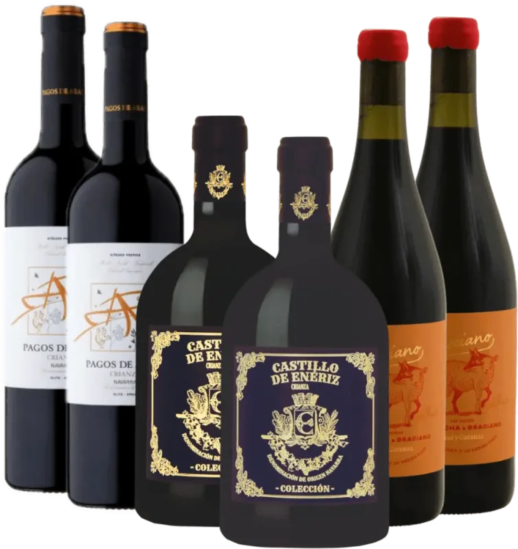 Dégustation de vin rouge de Navarre - lot découverte de 6 bouteilles