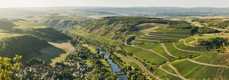 Vue aérienne des vignobles autour de Niederhausen