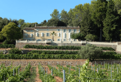 Domaine viticole Villa Vallombrosa