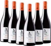 6x Vorteils-Weinpaket 1921 Primitivo di Manduria Riserva DOP - Varvaglione