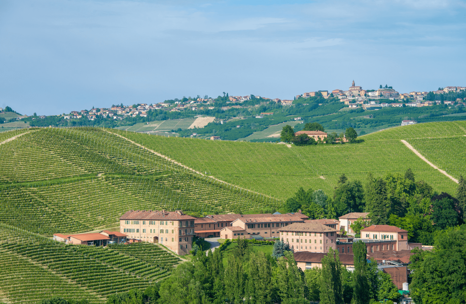 Domaine viticole Fontanafredda Piémont