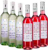 6er Kennenlernpaket - Sophie Helene Weine von Weingut Hammel