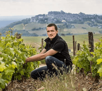 Vignoble Bernard Reverdy Vignoble Bernard Reverdy