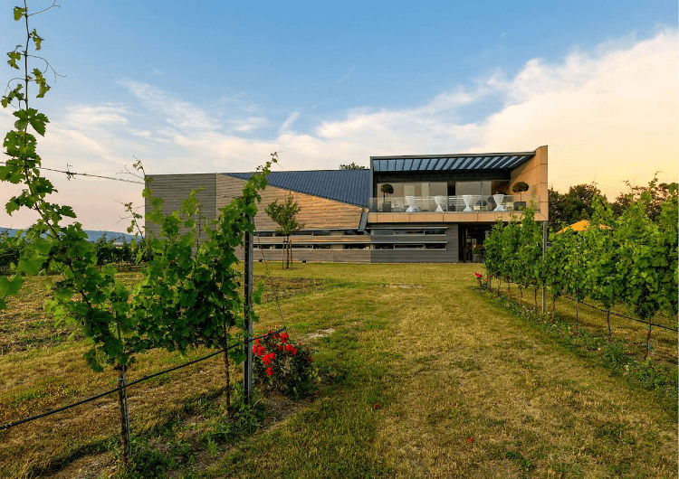 Le domaine viticole Esterházy à Trausdorf Le domaine viticole Esterházy à Trausdorf