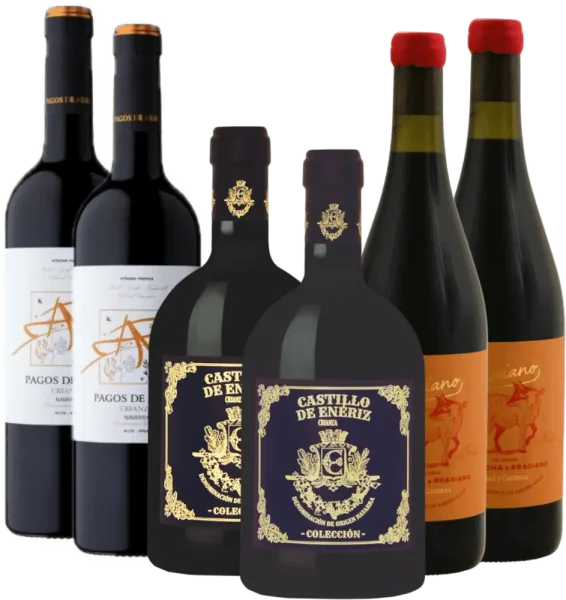 Dégustation de vin rouge de Navarre - lot découverte de 6 bouteilles