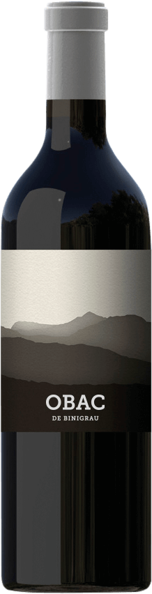 Vorschau: 12x Vorteils-Weinpaket Obac - Binigrau