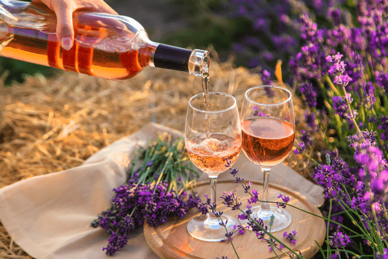 Picknickdecke mit Roséwein Picknickdecke mit Rosewein