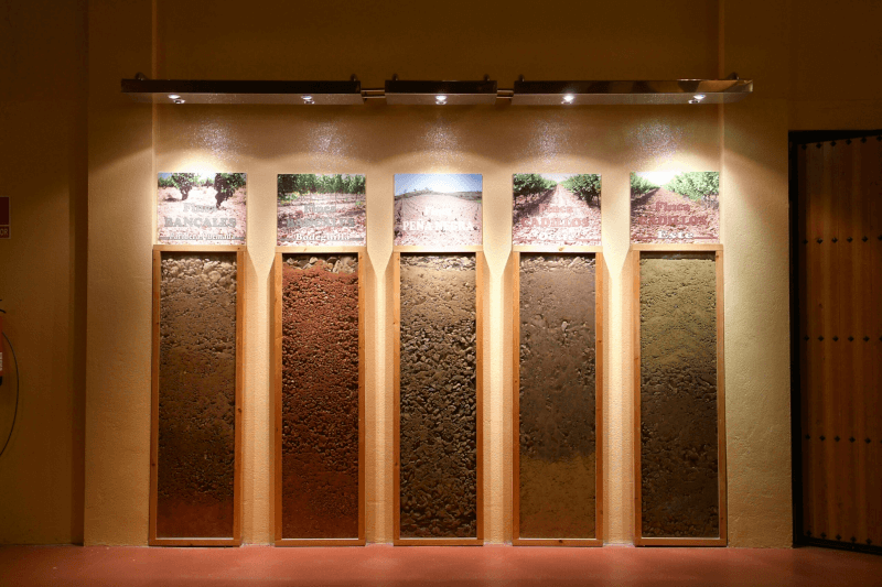 Care Family Vineyards les terres des vignobles