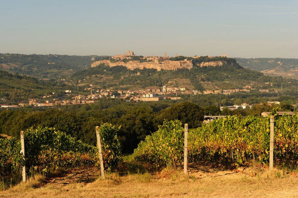 Panorama d'Orvieto Panorama d'Orvieto