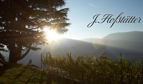 J.Hofstaetter Weingut Tenuta