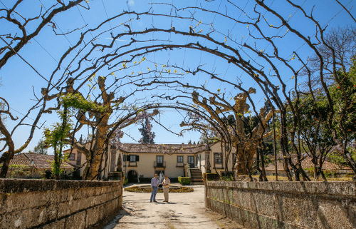 cave-casa-de-vila-nova