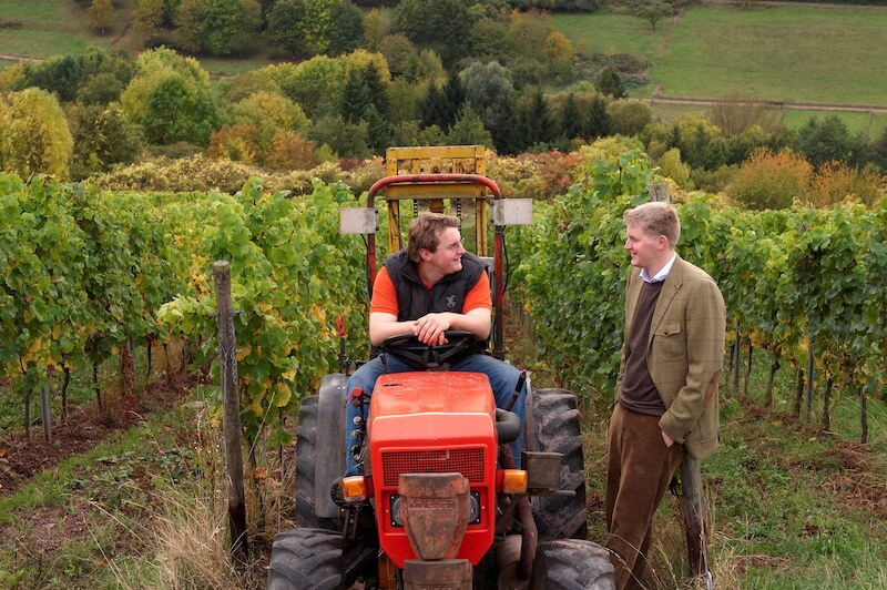 vignoble-prince-à-salm-dalberg-frères-tracteurs-1